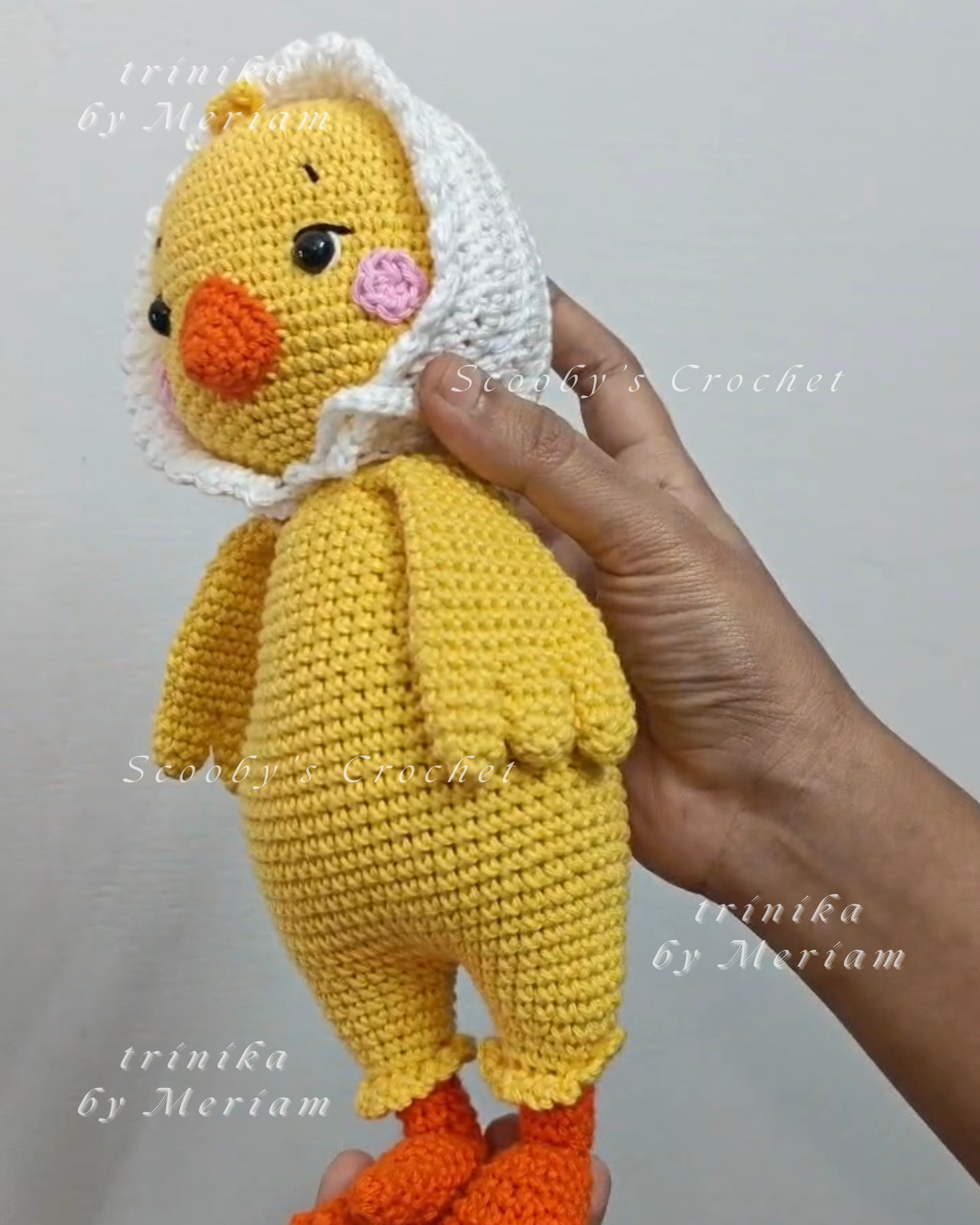 Coco the Chick