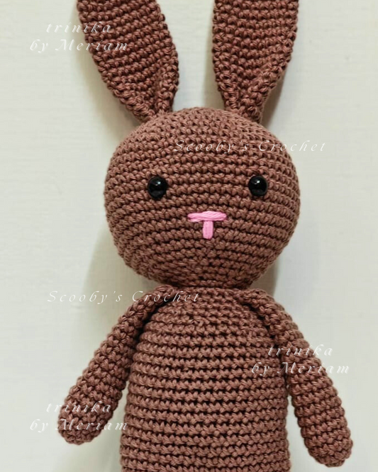 Bablu the Bunny
