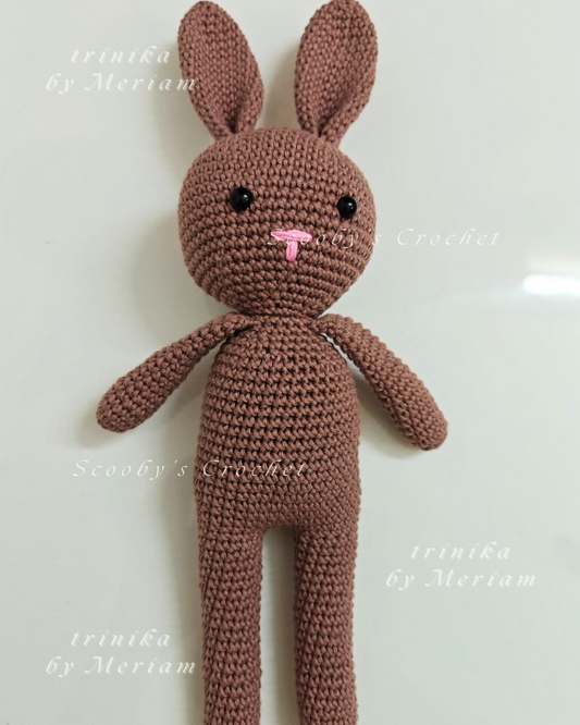 Bablu the Bunny